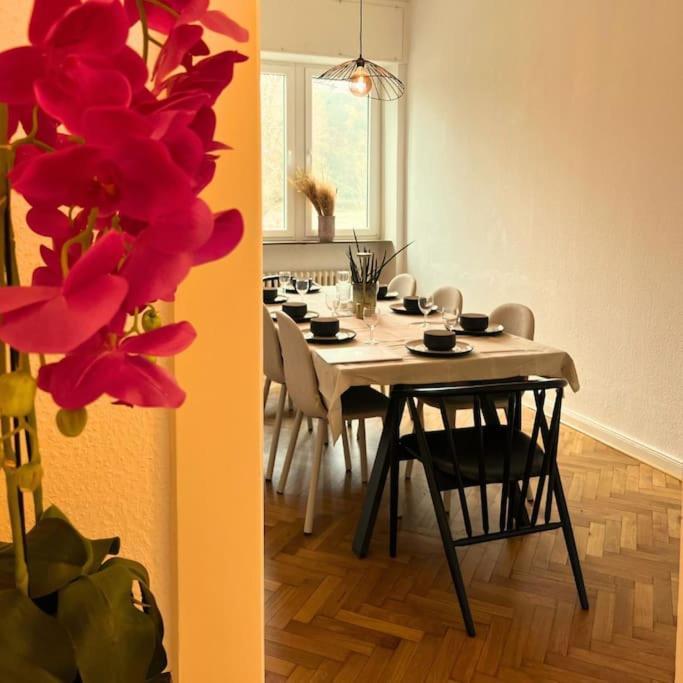 Gemuetliche Rheinblick Residenz Apartment Koblenz  Ngoại thất bức ảnh